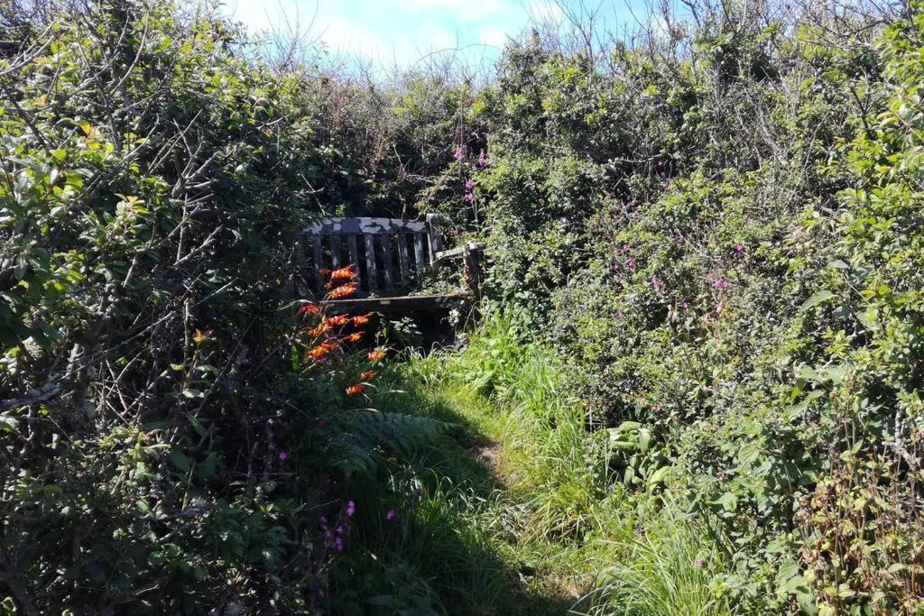 Farm Accommodation - The Lizard Peninsula, Cornwall Хелстон Экстерьер фото