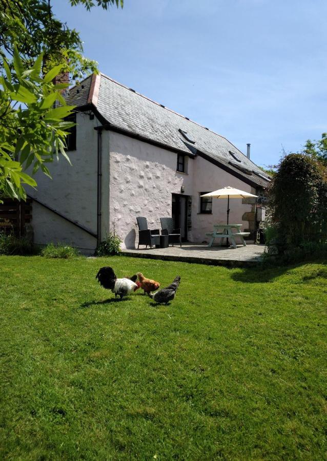 Farm Accommodation - The Lizard Peninsula, Cornwall Хелстон Экстерьер фото